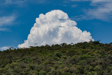 Canvas Print - clouds over the forest