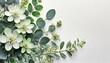 Eucalyptus twigs, shoots and flowers on a white background. Natural background with space for text