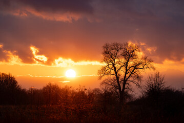 Wall Mural - Landscape of setting sun above the horizon in countryside. Sun goes down, vibrant colours in clouds, silhouette of a big tree