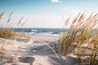 © Kitta Studio - close up of a beach near some grass and sand, minimalist