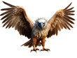 Cartoon Vulture, isolated on a transparent or white background
