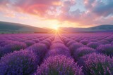 Fototapeta Kwiaty - As the sun sinks below the horizon, a sea of purple lavender dances in the golden light, casting a peaceful spell over the vast landscape of rolling hills and majestic mountains