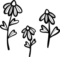 Poster - Cute daisy doodles, vector flower clip art set, isolated hand drawn elements