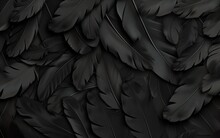 Black Feathers Background