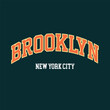 Vintage college varsity new york state brooklyn slogan print for graphic tee t shirt or sweatshirt - Vector	