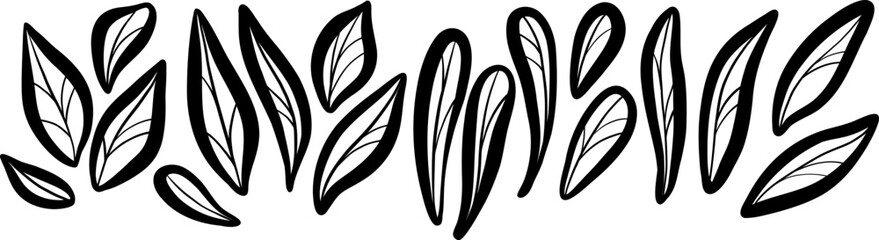 Poster - Line art leaf doodle set, hand drawn organic illustration of leaves, isolated