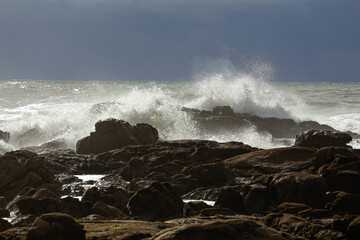 Canvas Print - Rain and storm in the coast