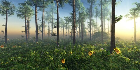 Wall Mural - Forest in the morning in a fog in the sun, trees in a haze of light, glowing fog among the trees, 3D rendering