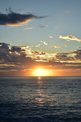 Wall Mural - Pelicans over the waves off the coast in the Sunrise in Los cabos, Mexico