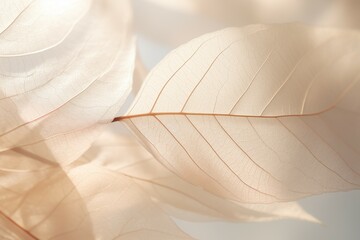 Wall Mural - closeup abstract fiber on leaves above light textured background