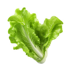 Wall Mural - Fresh lettuce isolated on transparent or white background, png