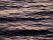 Sea wave background. Light rough seas in harbor near the shore. Copy space