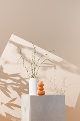 Wall Mural - Scene with podium for product presentation and dry plant on beige background, 3d render