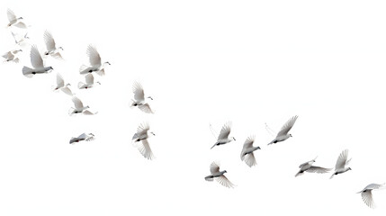 Canvas Print - A group of doves flying in the sky