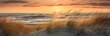 Dünen im Sonnenuntergang am Meer, wunderschöne Natur für einen Urlaub am Strand, Goldene Stunde