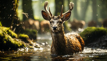 A Beautiful Stag In The Forest, Looking At The Camera Generated By AI