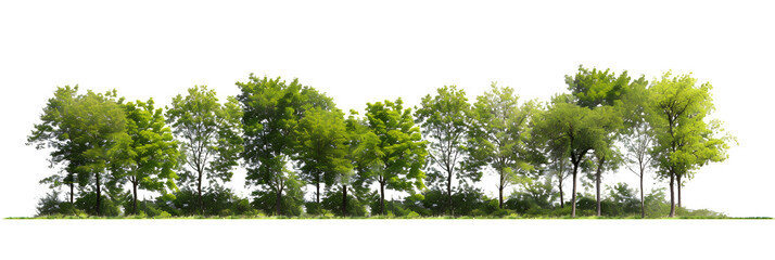 Wall Mural - Green Trees isolated on white background
