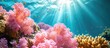 Pink hard coral (Acropora Nasuta) on a tropical reef, underwater scene.