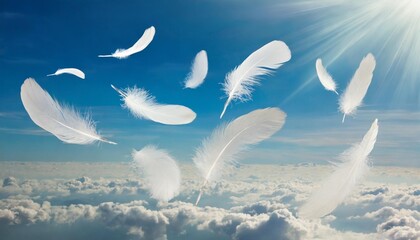 Wall Mural - abstract white bird feathers falling in the sky feather softness floating white feathers