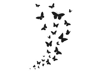 Poster - silhouette of butterflies