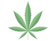 Cannabis Blatt Icon,
Vektor Illustration isoliert auf weißem Hintergrund
