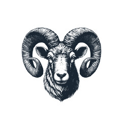 Wall Mural - the head of sheep or goat. rough sketch. vector illustration.