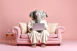 © RealPeopleStudio - relaxed elephant holds a laptop in his hands