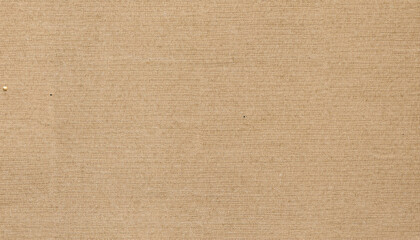 Wall Mural - Cardboard sheet of paper texture; brown and rough canvas background