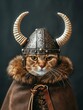 Cat dressed as a Viking warrior