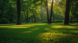 Fototapeta Na ścianę - A green forest park offers enchanting scenery, nature's haven with tranquil beauty, Ai Generated.