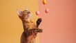 Abyssinian cat juggles Easter eggs on a peach background, concept of Easter holiday, good mood