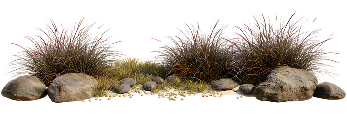 Isolate savanna dry grass meadow shrubs with rocks on transparent backgrounds 3d render png
