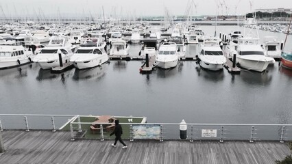 Wall Mural - boats in the harbor