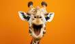 Studio Portrait of Funny and Excited Giraffe on Orange Background with Shocked or Surprised Expression and Open Mouth
