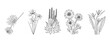 Set of hand drawn African native plants and flowers. Simple black and white vector illustration