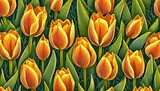 Fototapeta Tulipany - Tapeta z tulipanami