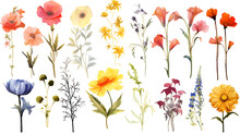 A Collection Of Grunge Oil Painted Summer Flowers Isolated On A Transparent Background