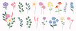 Collection of spring colorful flower elements vector. Set floral of wildflower, leaf branch, foliage on white background. Hand drawn blossom illustration for decor, easter, thanksgiving, clipart.
