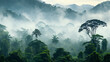 panorama of the rainforest