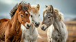 Group of three horses standing next to each other. Suitable for various equestrian themes and countryside scenes