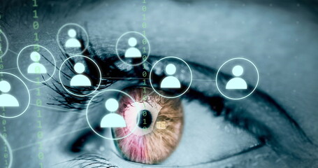 Poster - Image of human eye, connections and data processing