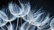 Dandelion seed head. Generative AI
