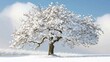 Snowy hawthorn tree. Generative AI