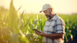 Farmer or agronomist examine green soybean plants in field and man wearing hat 
