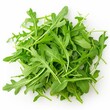 © Yahor Shylau  - arugula on white background.