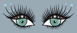 The look of aquamarine eyes. On half-closed eyelids, brown eyeshadow and sparkling glitter. Lush black eyelashes covered with stars. White highlights on the iris and pupil. Color vector illustration. 
