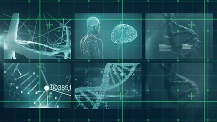 Poster - Animation of scientific data processing over screens
