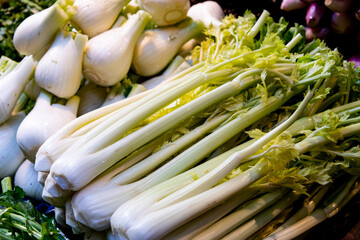 Wall Mural - very good celery for sale at the marketvery good celery for sale at the marketvery good celery for sale at the market