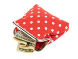 Fototapeta Na ścianę - red cash wallet isolated over white background. Charge purse with clipping path