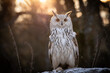 The Eurasian eagle-owl (Bubo bubo) is a species of eagle-owl that resides in much of Eurasia. It is also called the Uhu and it is occasionally abbreviated to just the eagle-owl in Europe.[4] It is one